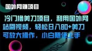 冷门撸美刀项目，利用国外网站刷视频，轻松日入80+美刀，可放大操作，小白随便上手