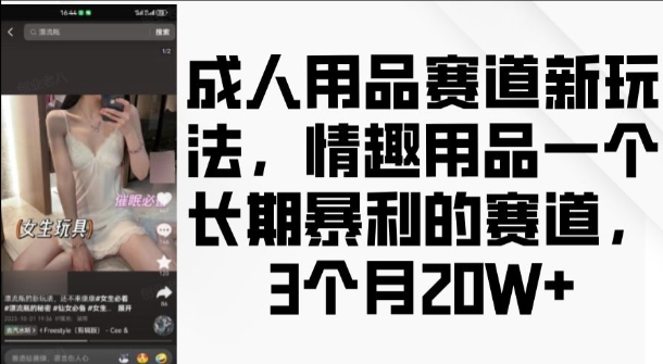 成人用品赛道新玩法，情趣用品一个长期暴利的赛道，3个月收益20个【揭秘】